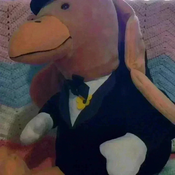 Rare htf Mr turkey stuffed store promo Thanksgiving - Picture 5 of 6